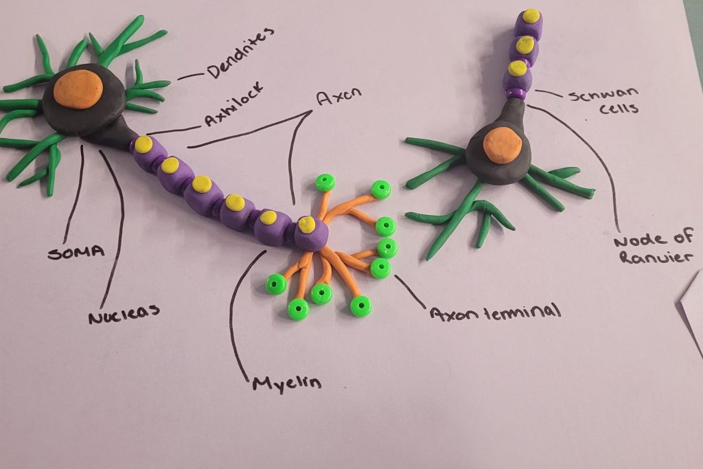 Winning Neuron by Charlee Jones