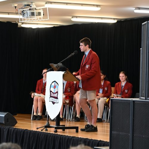 DSC_3778