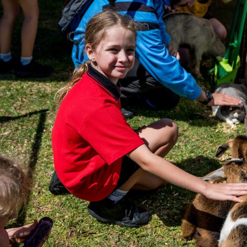 Tranby Day-111